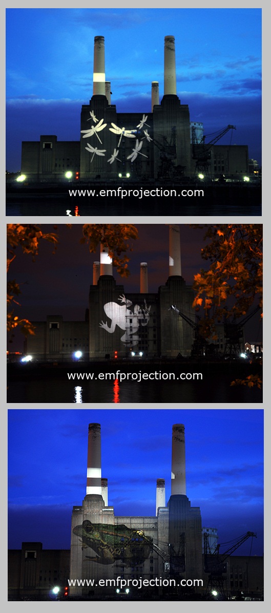 Battersea Power Station Projection for National History Museum exhibition launch Battersea Power Station Projection for National History Museum exhibition launch
