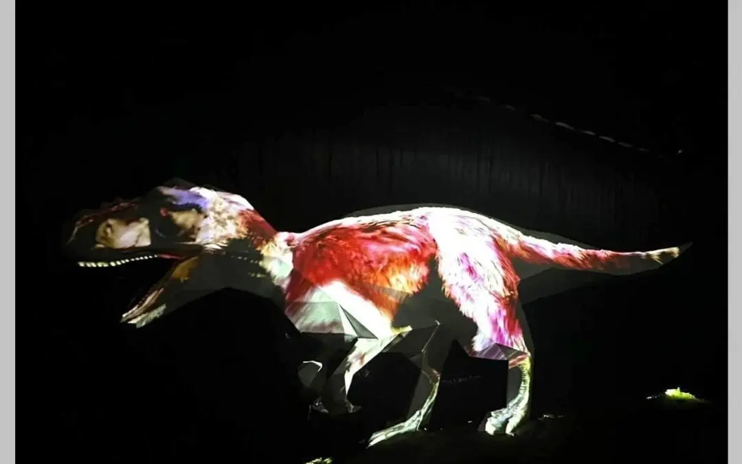 Dinsosaur Art Installation Light Projection Show