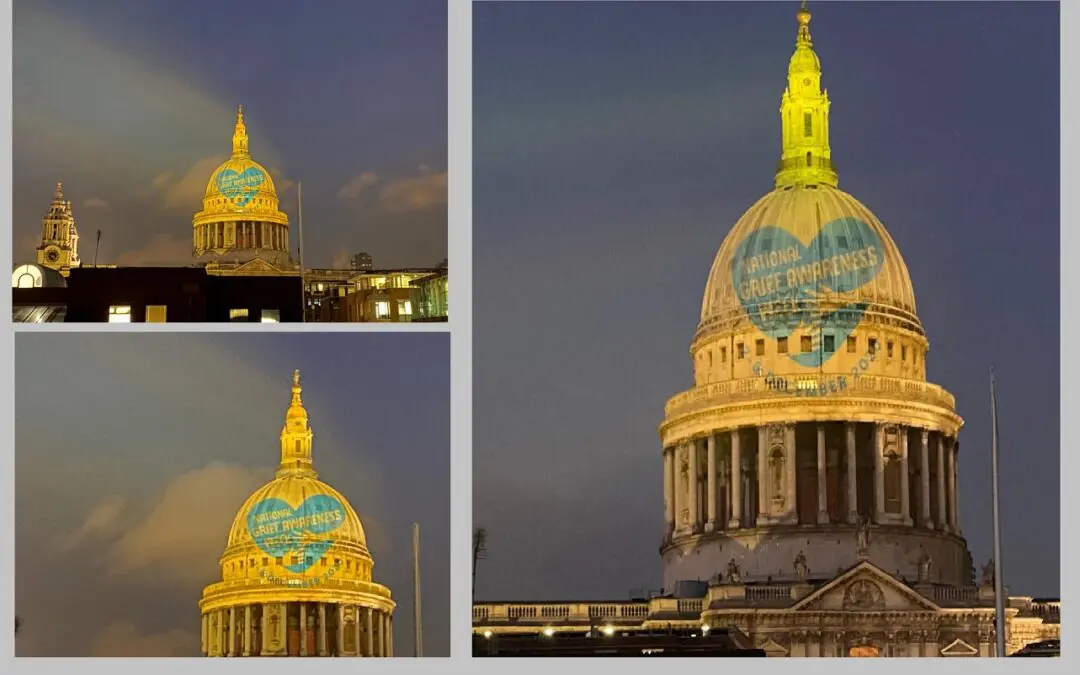 Good Grief Charity event projection onto St Pauls Cathedral
