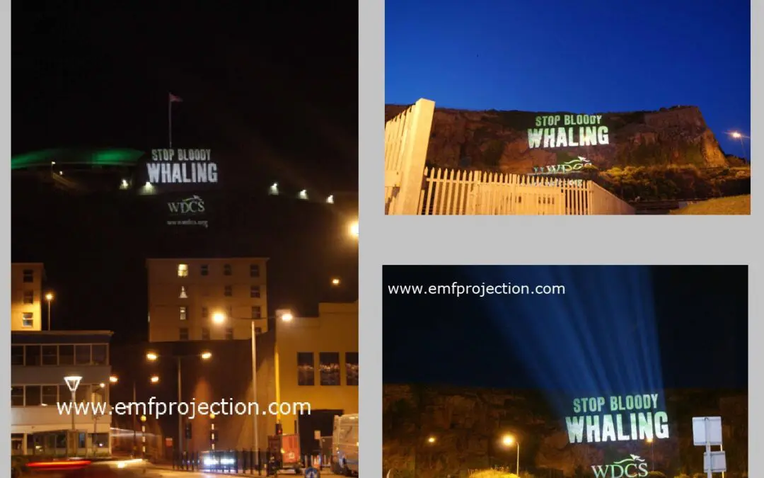 Mountain and Building Projection Campaign Jersey