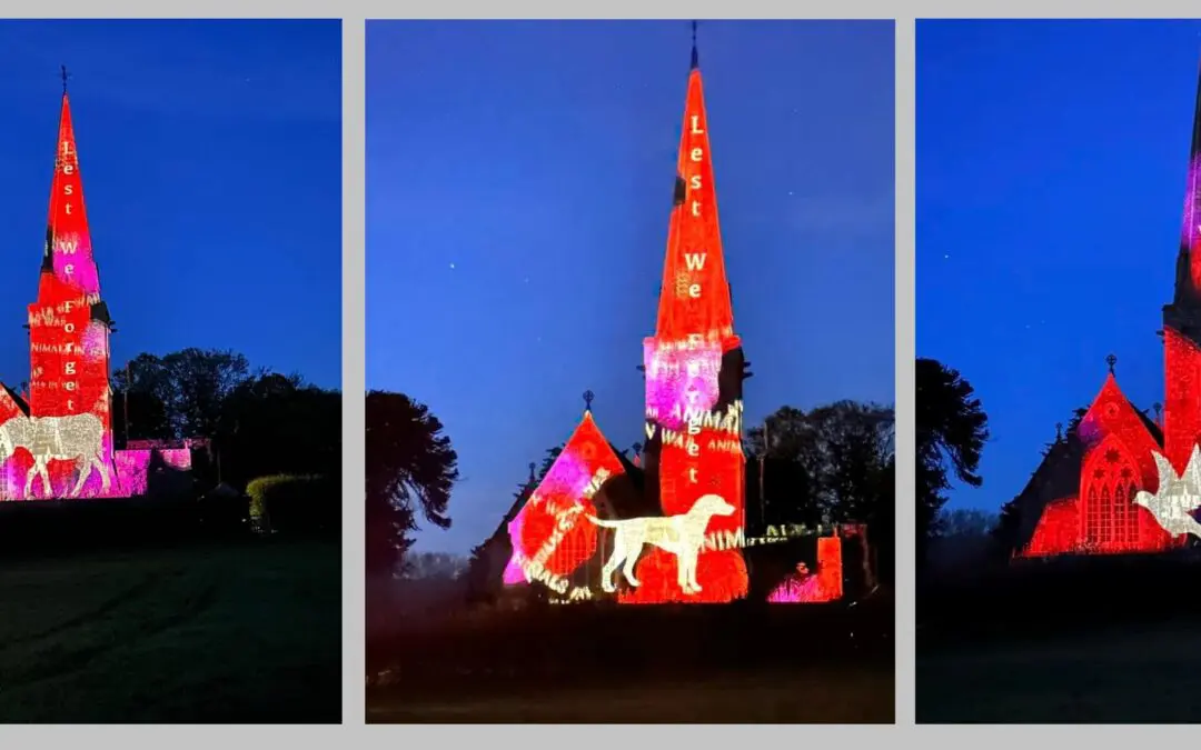 Poppy Projections St Matthews Church