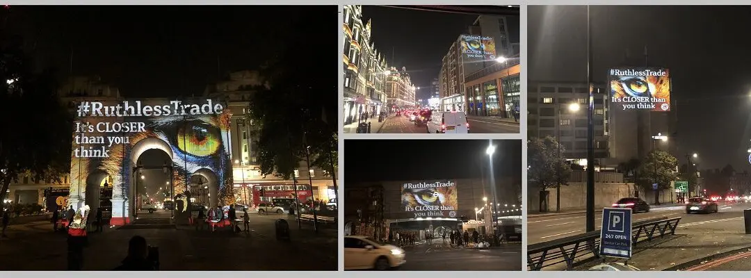 Tiger projection campaign across London for #RuthlessTrade