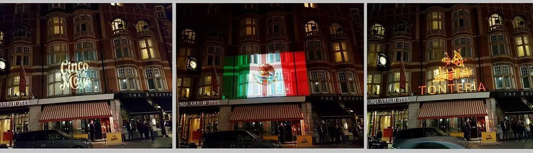 Tonteria night club projections