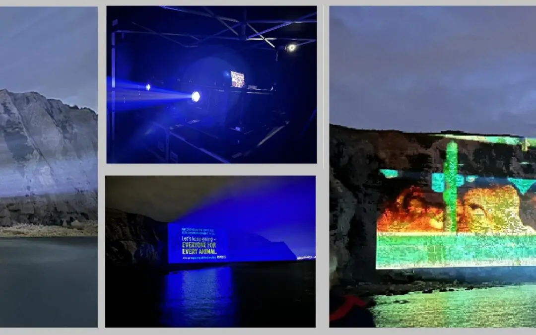 RSPCA & Compassion in World Farming Projections White Cliffs of Dover