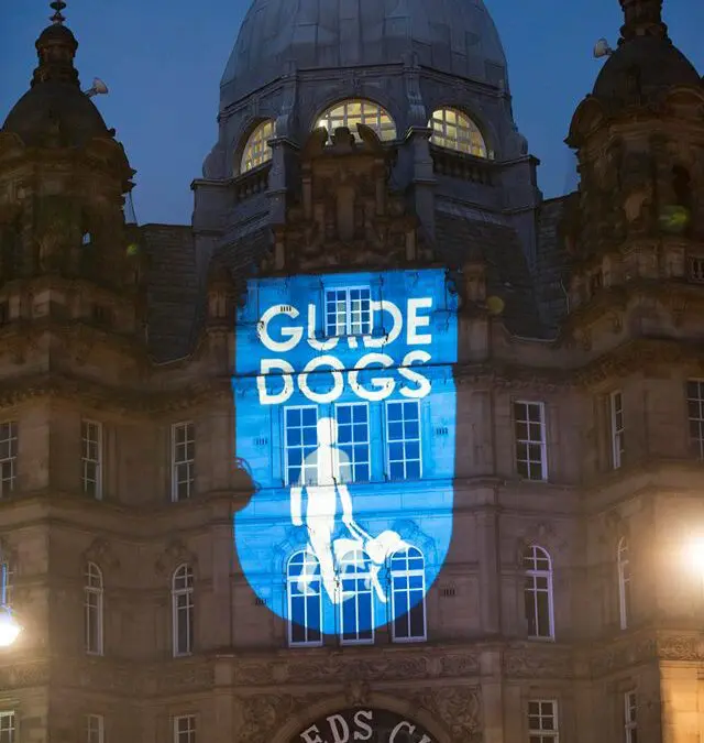 Guide Dog Week Projection Campaign Leeds