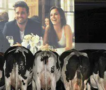 Outdoor Projection Media Stunt – Made in the Meadow