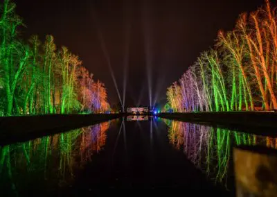 Erddigg Glow Lightwalk tree uplighting