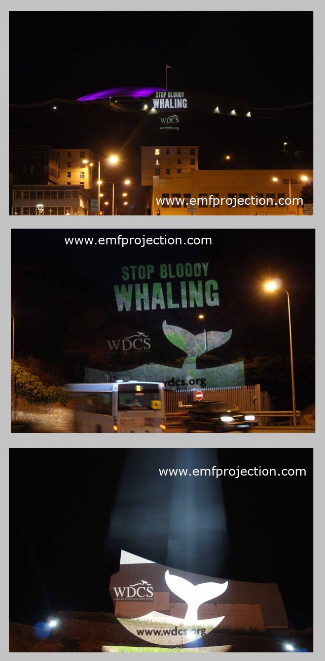 Outdoor Projection Campaign against Whaling, Jersey