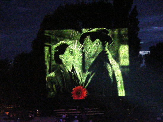 Henley Festival Projections