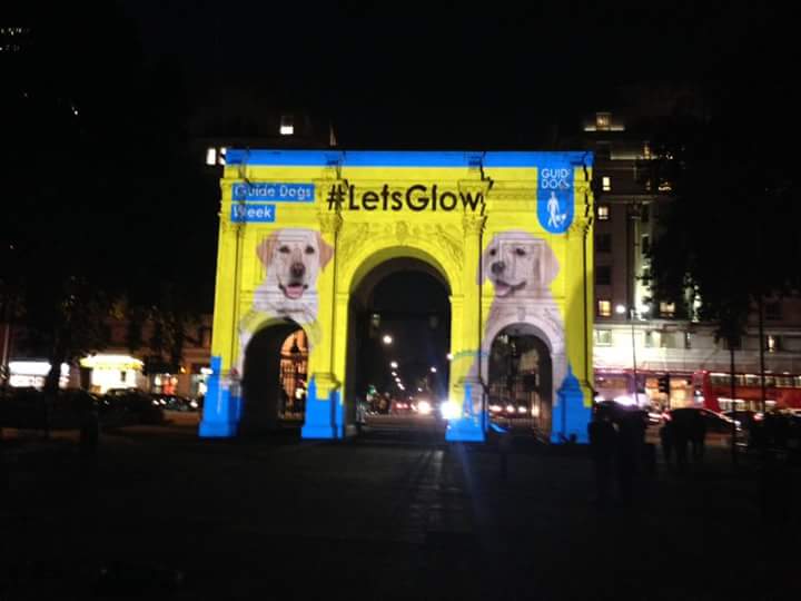 Guide Dog Projection Campaign London