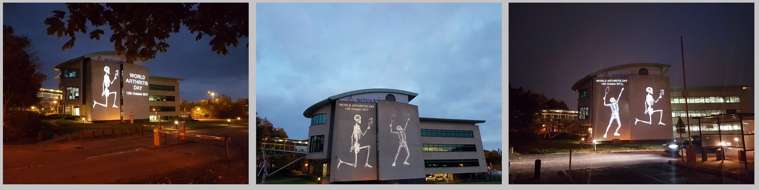 World Arthritis day - Novartis projection