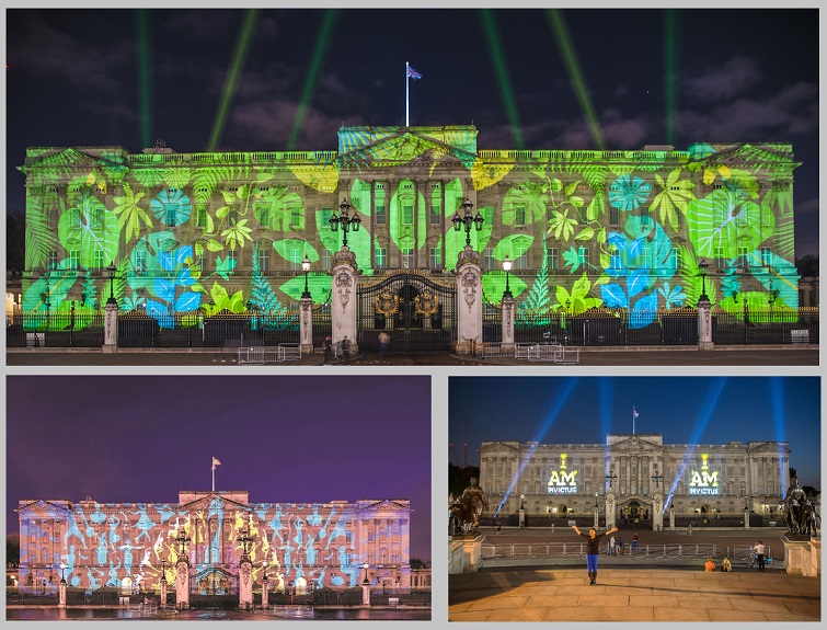 Buckingham Palace building projections