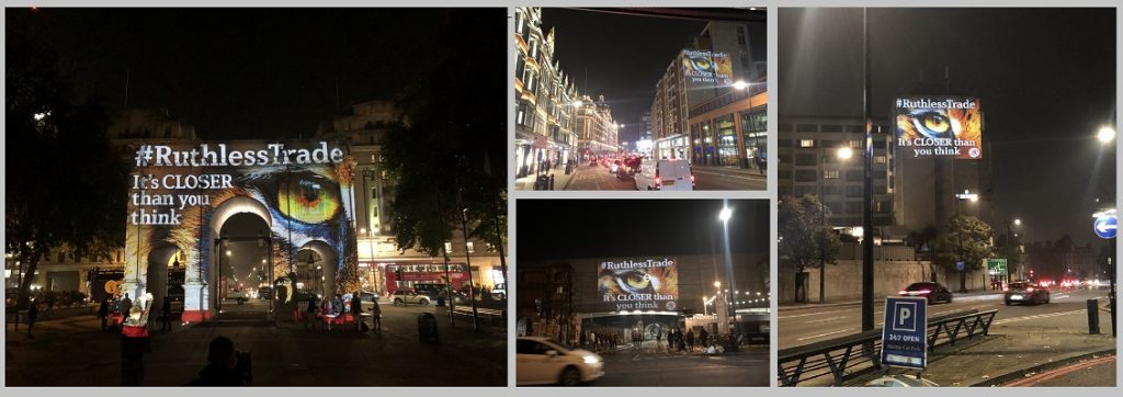 Tiger projections campaign across London for #Ruthless